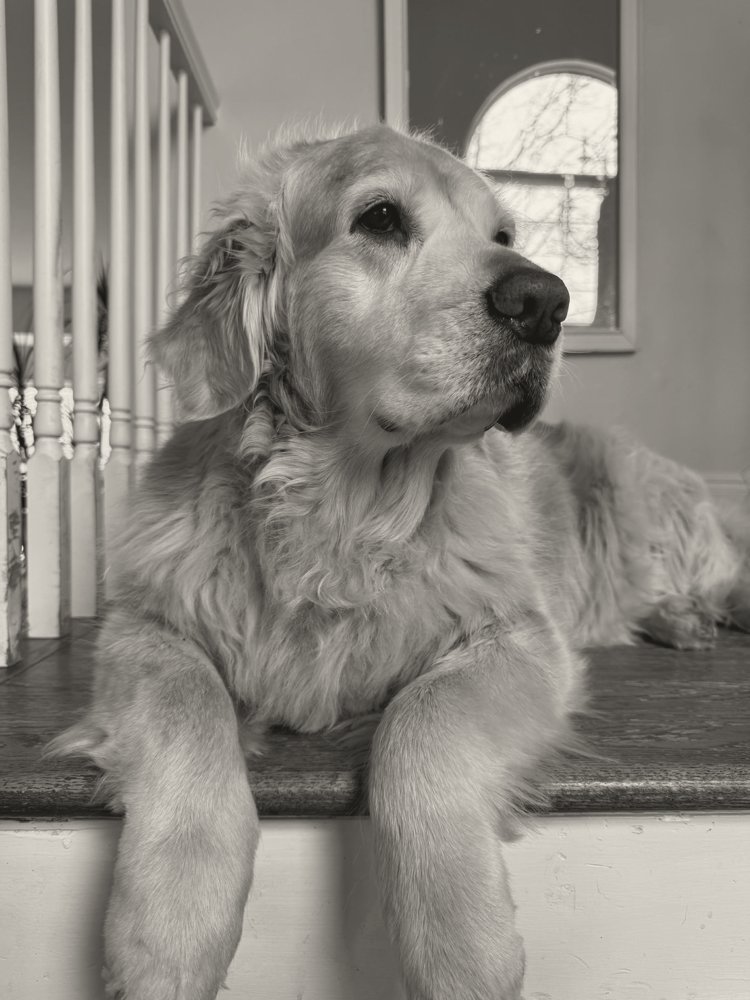 Katelyn, life photo 32